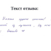 Алена